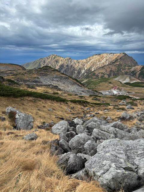 alpine-route